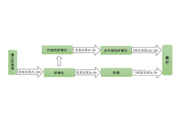 中國(guó)系全球乙肝病毒中高度流行區(qū)，用藥市場(chǎng)規(guī)模大（附報(bào)告目錄）