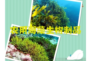 農(nóng)用海藻生物制品行業(yè)發(fā)展趨勢與前景分析（附報(bào)告目錄）