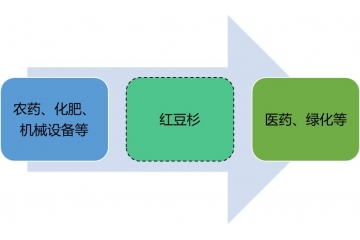 抗腫瘤原料之紅豆杉行業(yè)競爭情況與趨勢分析（附報告目錄）