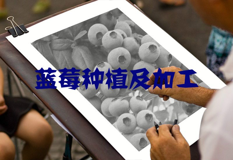 制約我國藍(lán)莓行業(yè)因素與市場(chǎng)化程度分析（附報(bào)告目錄）(圖1)