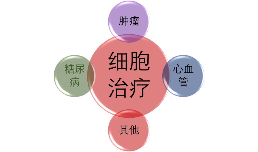 細(xì)胞治療行業(yè)一波三折仍不斷發(fā)展中（附報(bào)告目錄）(圖1)