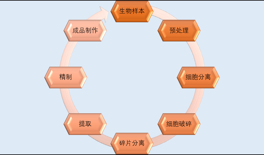 2020-2026年中國(guó)生物科學(xué)儀器行業(yè)投資前景專(zhuān)項(xiàng)報(bào)告(圖1)